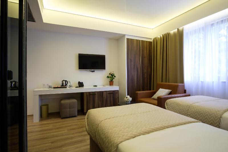 Deluxe King/Twin Room image 4