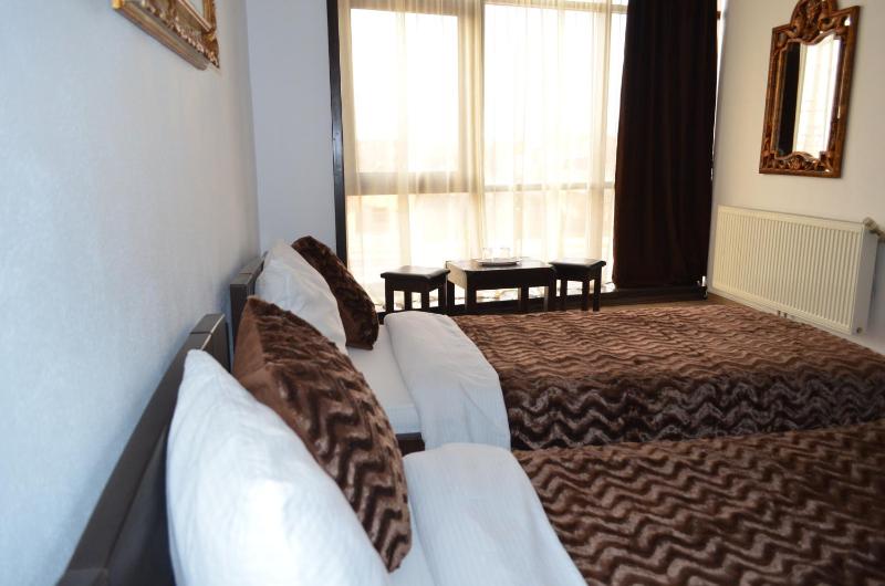Twin Room with Bathroom image 4