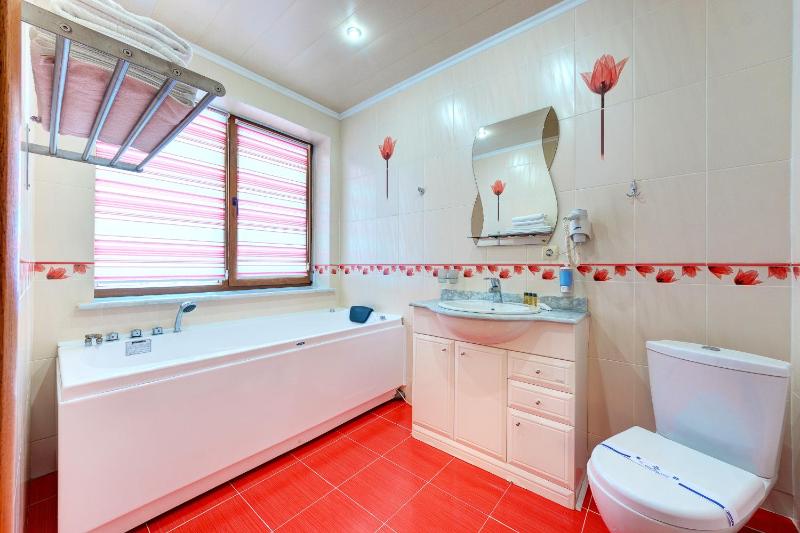 Hotel Perlyna Karpat - image 12