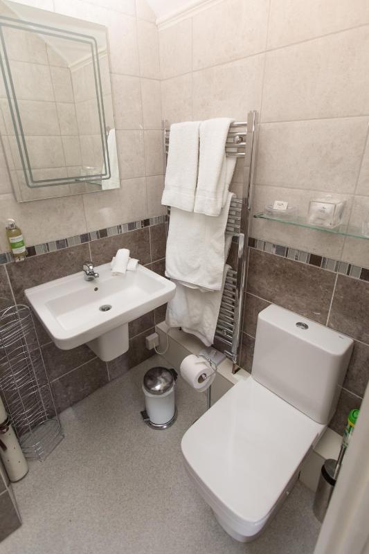 Deluxe Family Room image 1