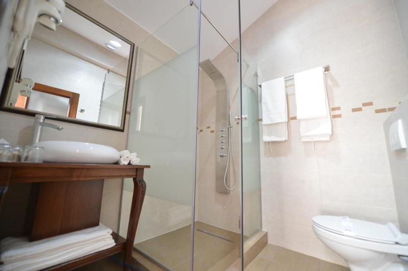 Deluxe Twin Room image 2