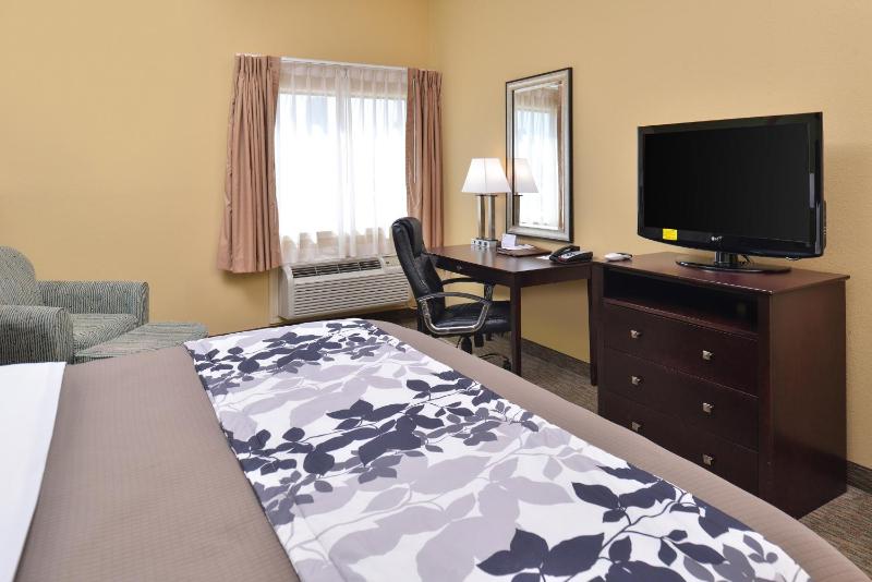 King Room image 4