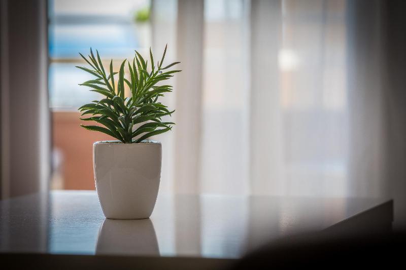 Green Olive Apartments - image 31