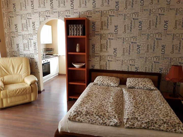 One-Bedroom Apartment - Disabled image 4