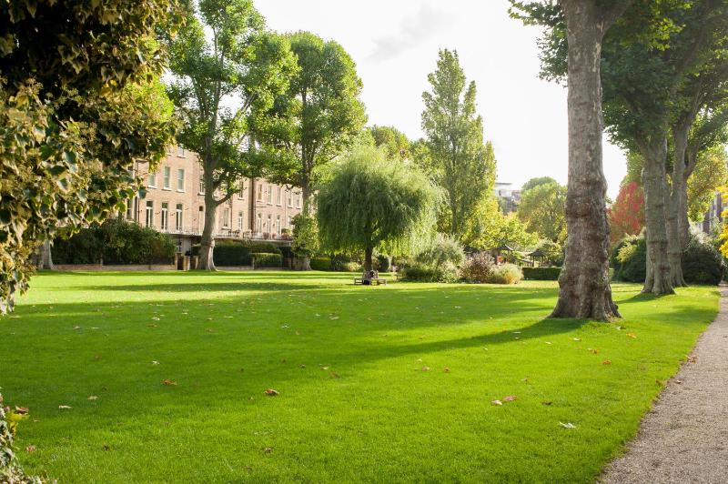 One-Bedroom Apartment image 1