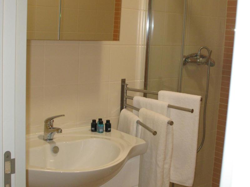One-Bedroom Apartment image 4