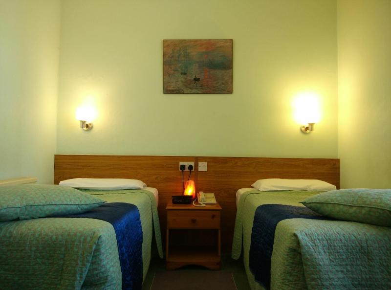 Standard Twin Room with Ensuite Bathroom image 1