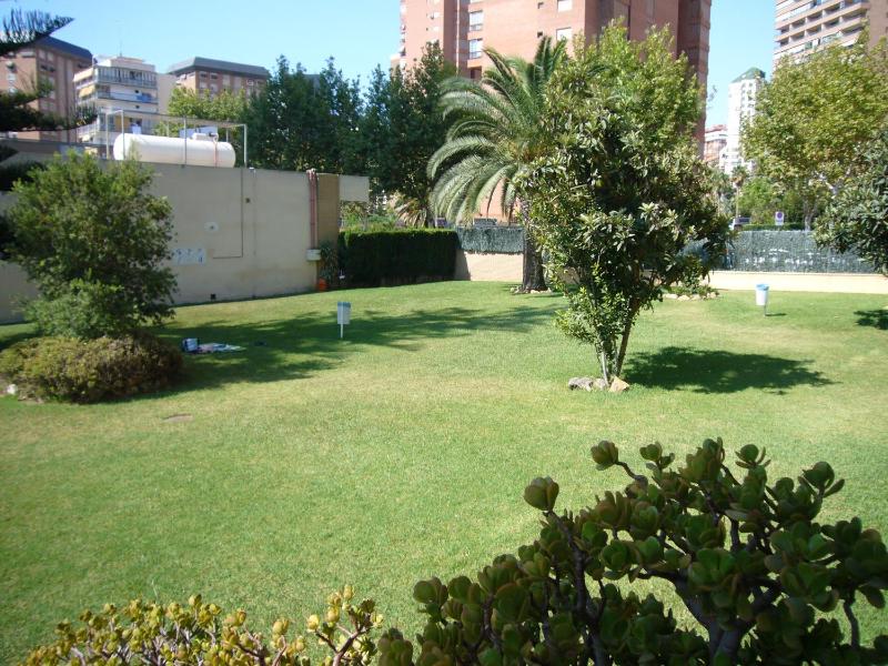 La Pinta - Fincas Arena - image 8