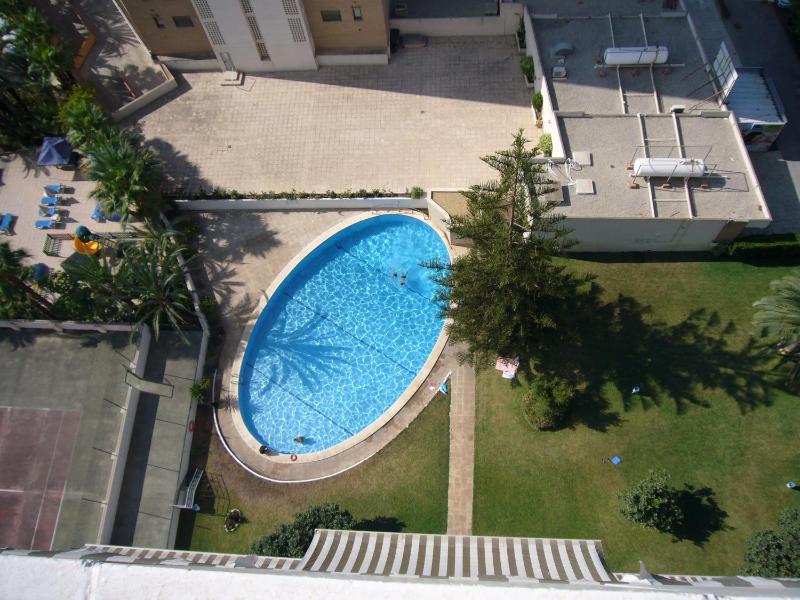 La Pinta - Fincas Arena - image 17