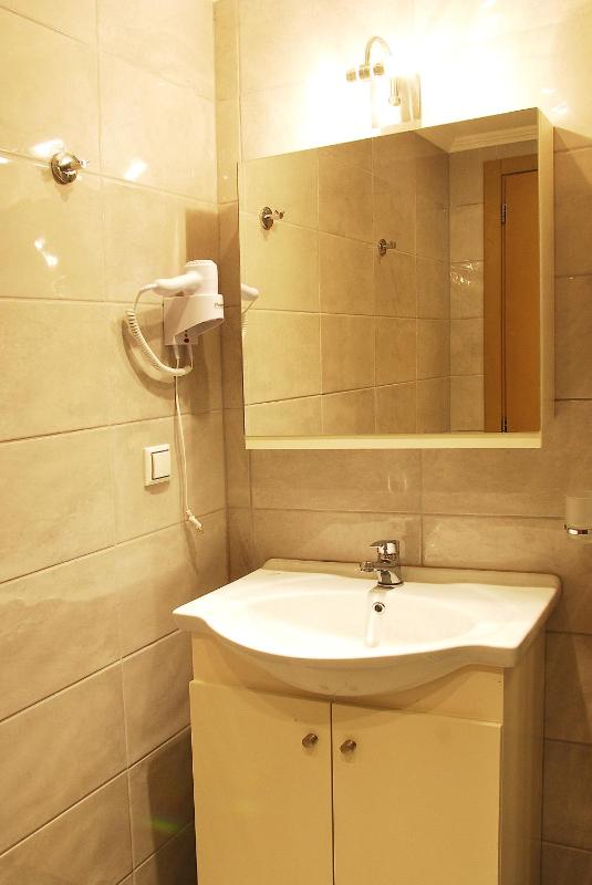 One-Bedroom Apartment with Balcony image 4