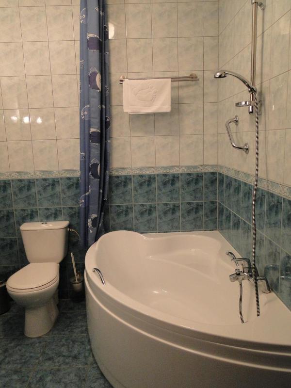 Family Room with Bath image 3