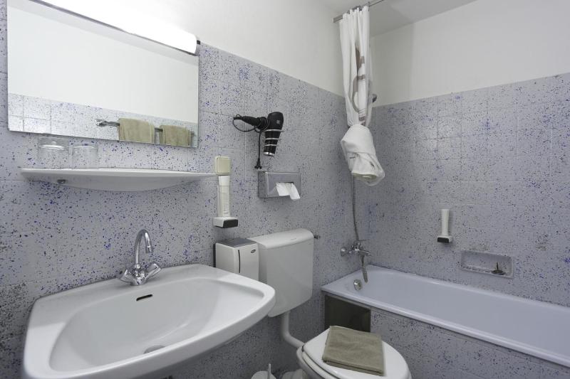 Family Room - Attic image 4