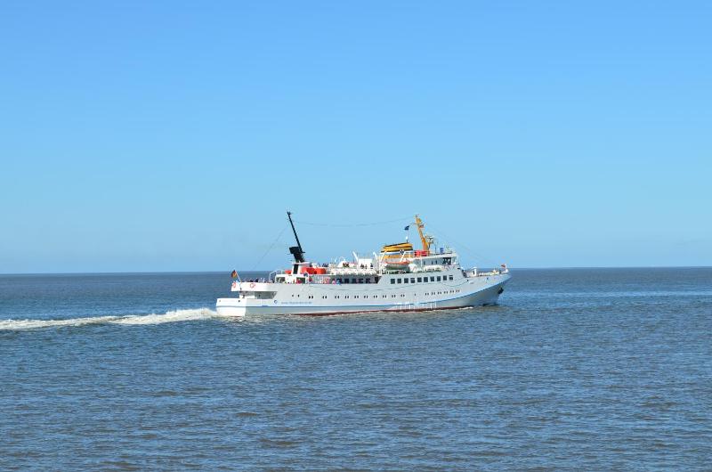 Black Pearl an der Lagune - image 41