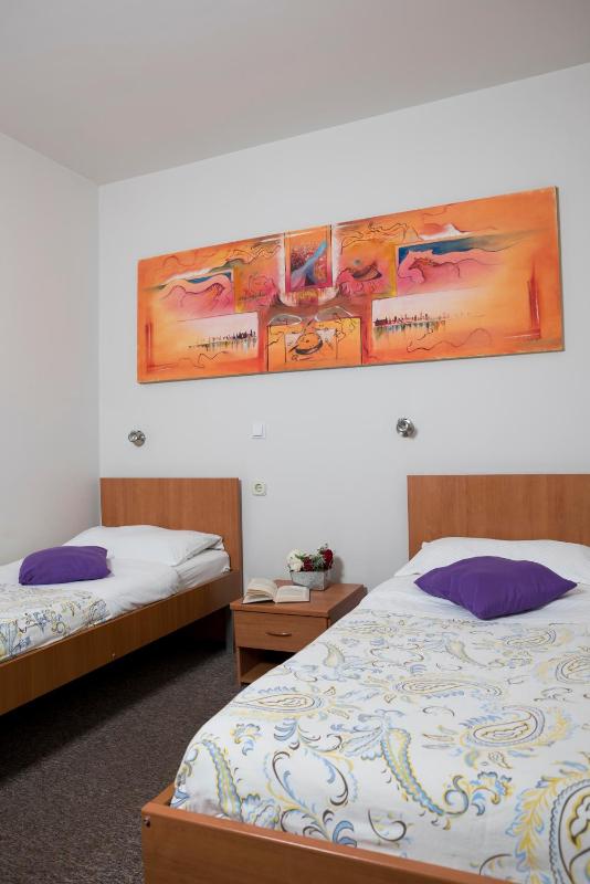 Economy Twin Room image 4