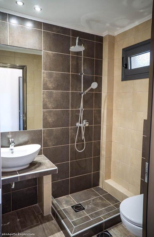 Standard Apartment image 4