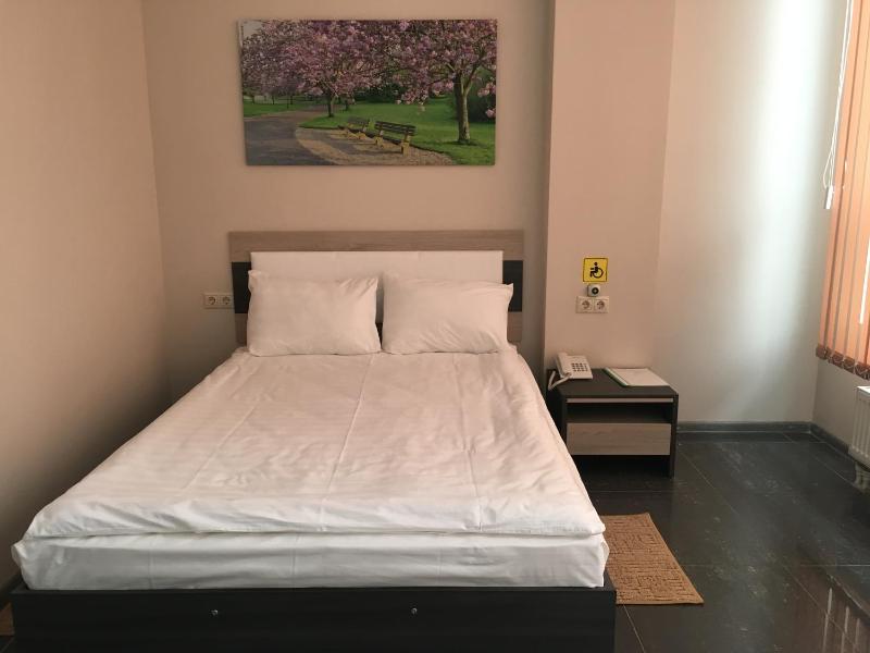 Double Room - Disability Access image 2