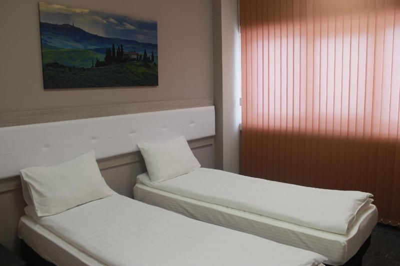 Standard Twin Room image 2