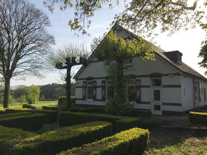 Apartment with Garden View image 1