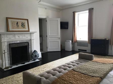 Deluxe King Suite image 3