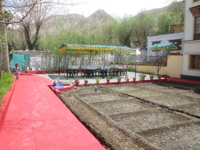New Moon Guest House - image 4