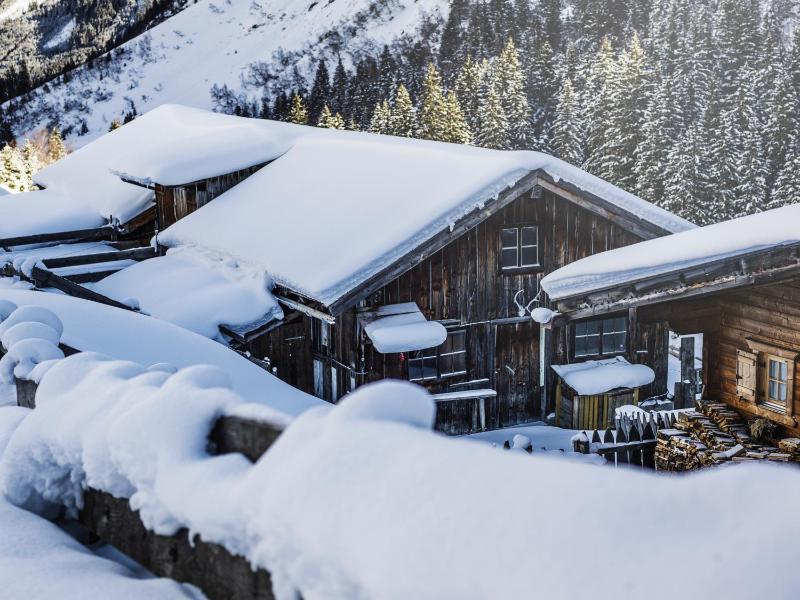 One-Bedroom Apartment image 2