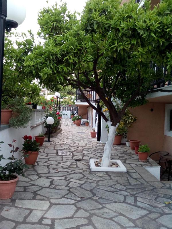Sofia's Garden by Booking Kottas - image 8