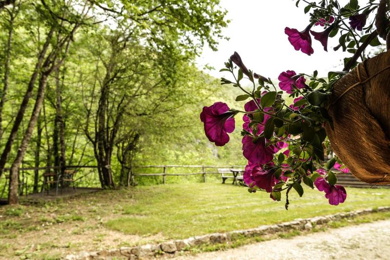 Double Room with Balcony image 3