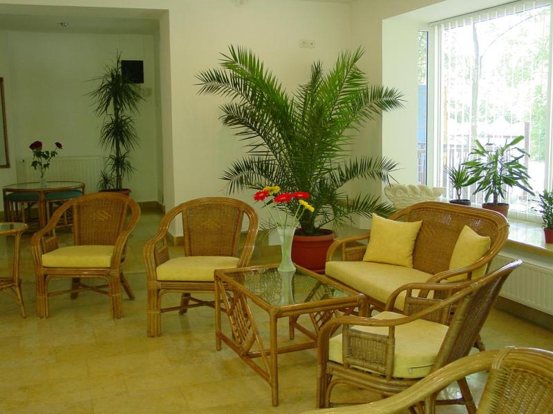 Vila Elena - image 7