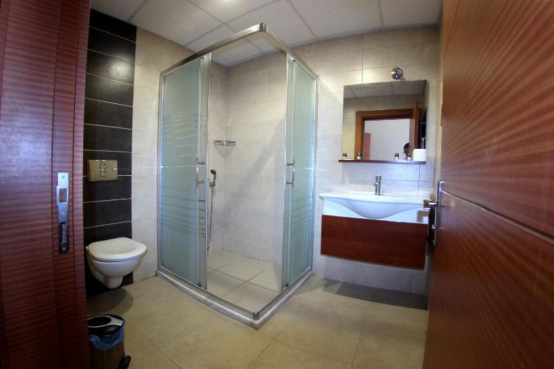 Deluxe Double or Twin Room image 4