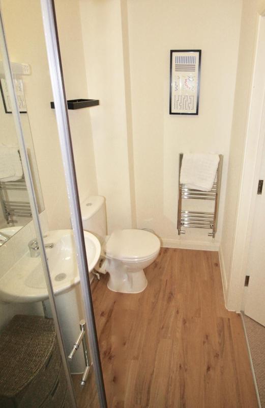 Apartment with Shower image 4