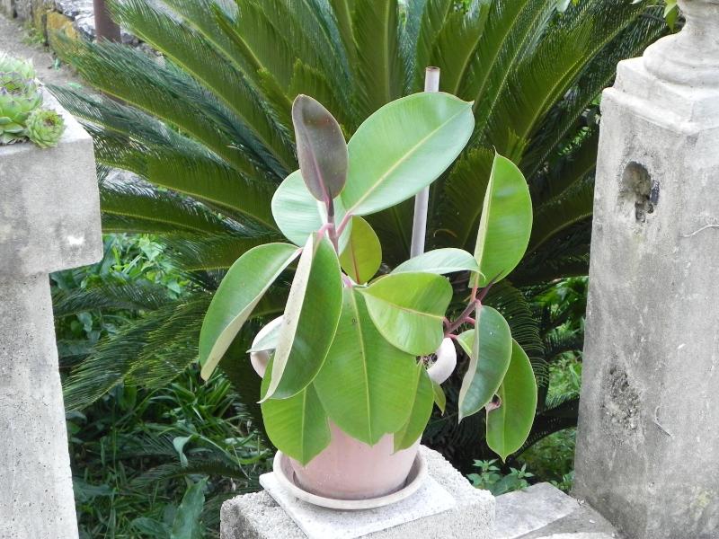 Villa Tiha - image 36
