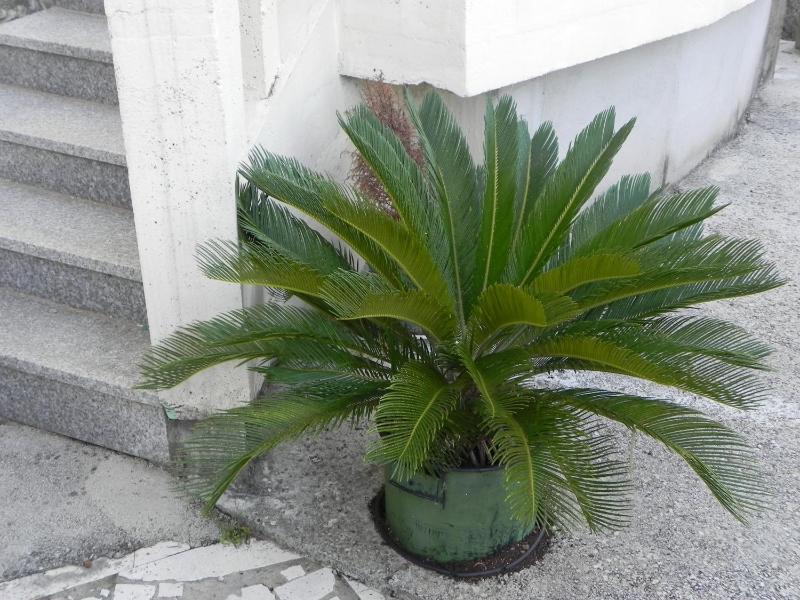 Villa Tiha - image 21