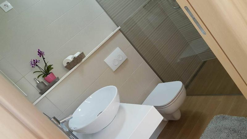 One-Bedroom Apartment image 4