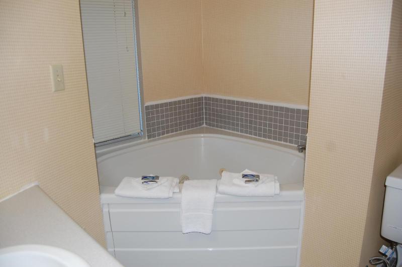 Vacation Lodge - image 26