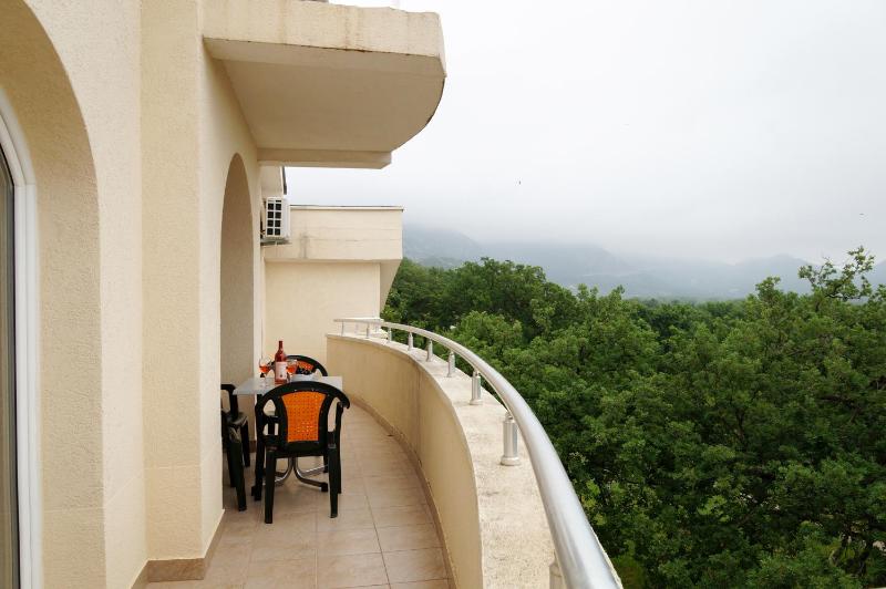 One-Bedroom Apartment image 2