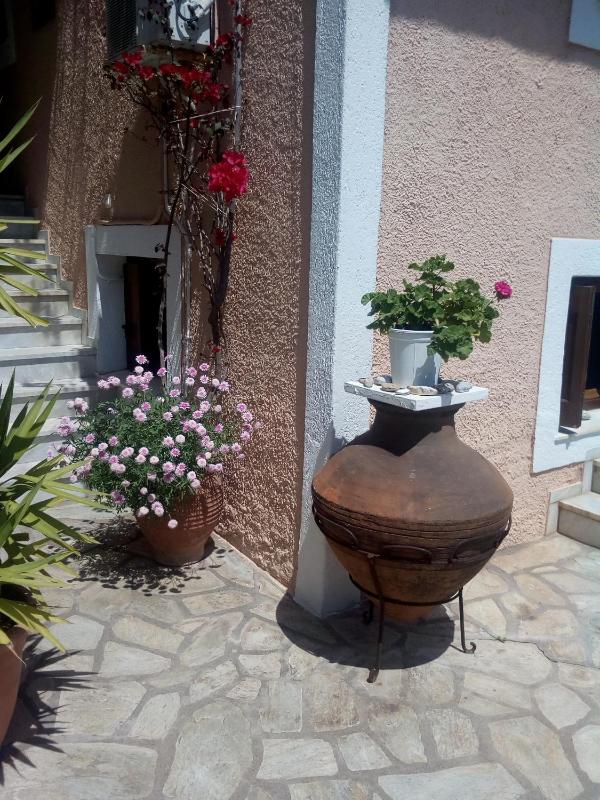 Sofia's Garden by Booking Kottas - image 5