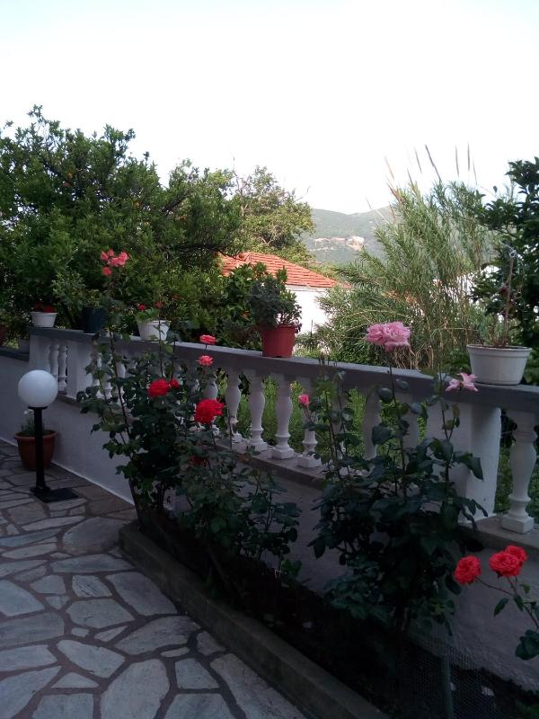 Sofia's Garden by Booking Kottas - image 31