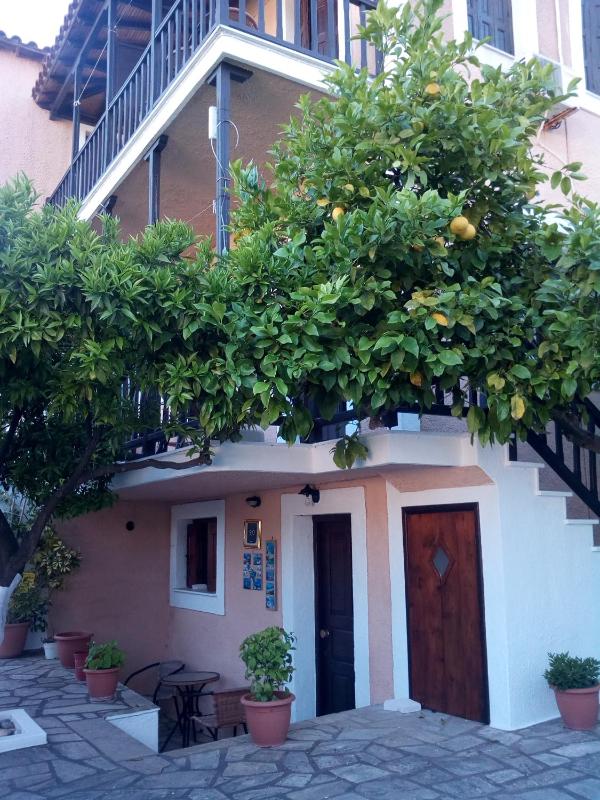 Sofia's Garden by Booking Kottas - image 6