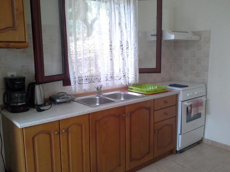 One-Bedroom Apartment image 4