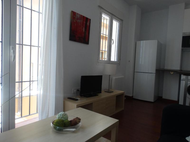 Málaga Apartamentos - Pozos Dulces 22 - image 8