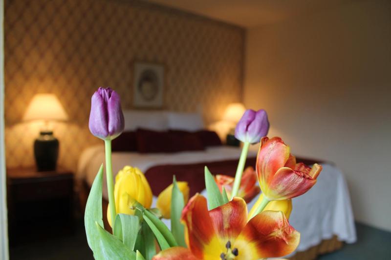 Queen Suite with Spa Bath image 4