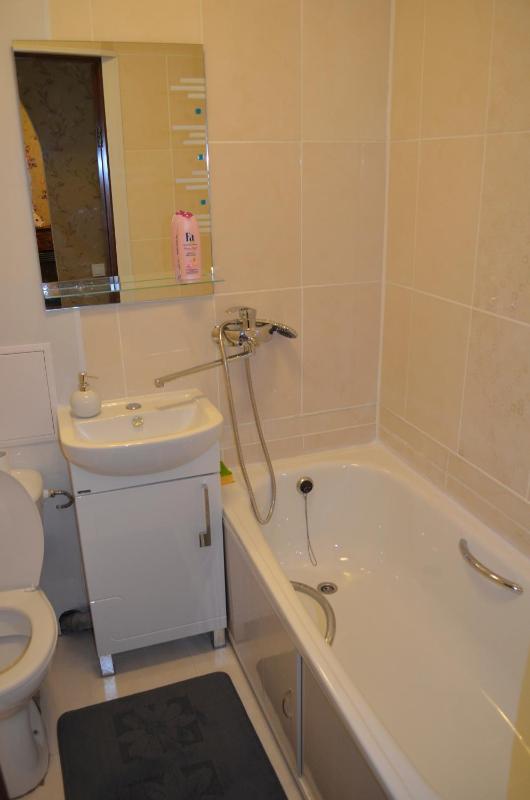 Studio Apartment image 3