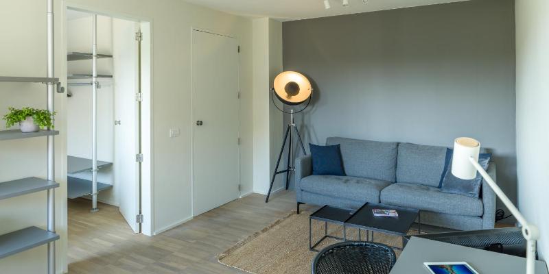 Superior Suite image 3