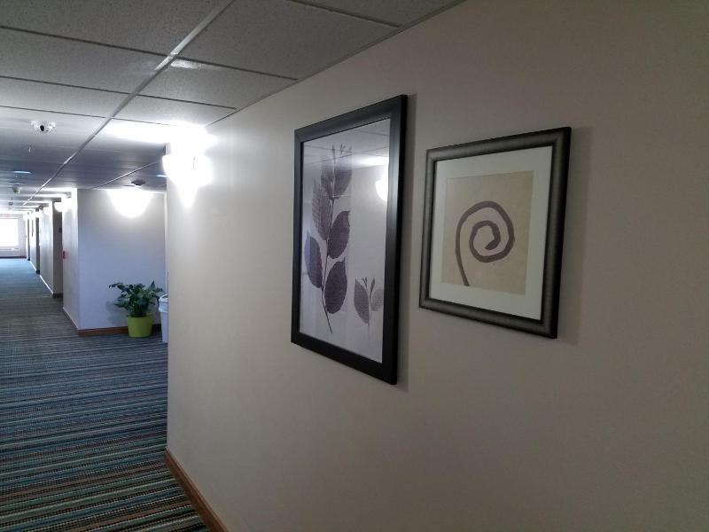 Country Inn & Suites by Radisson Jacksonville - Orange Park - image 15