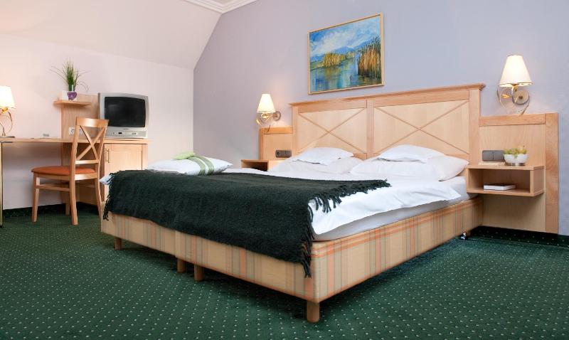 Large Double Room image 3