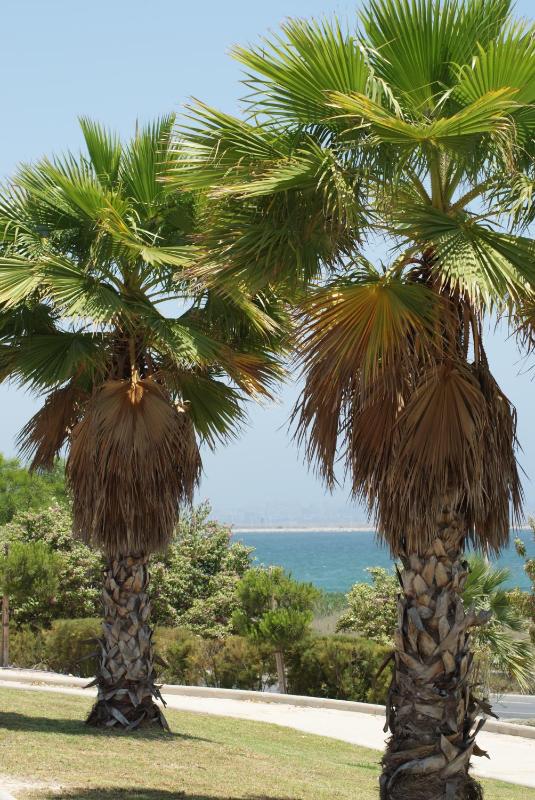 Ibis Budget Alicante - image 30