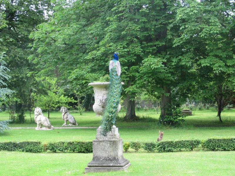 Manoir de la Marjolaine - image 3