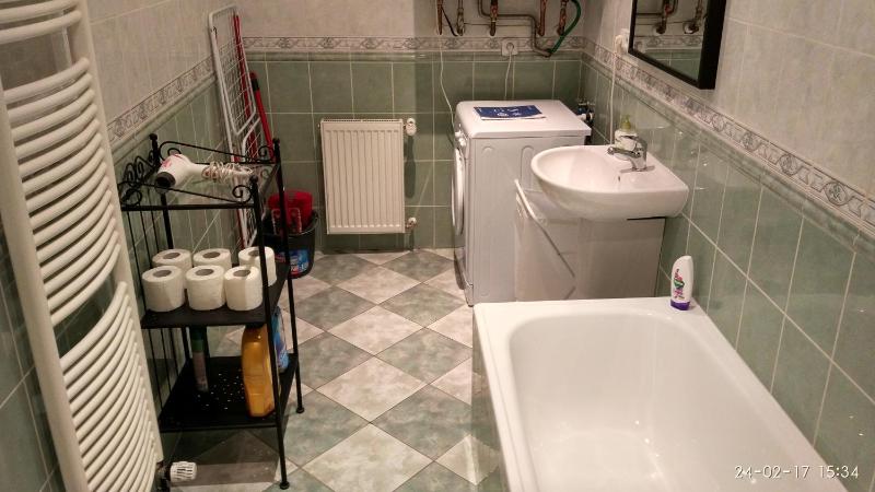 Two-Bedroom Apartment image 2