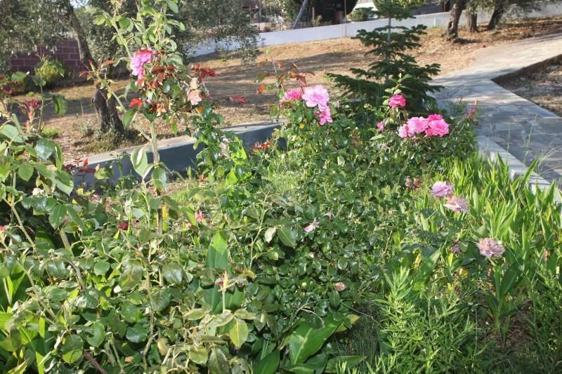 Armonia Guesthouse - image 6