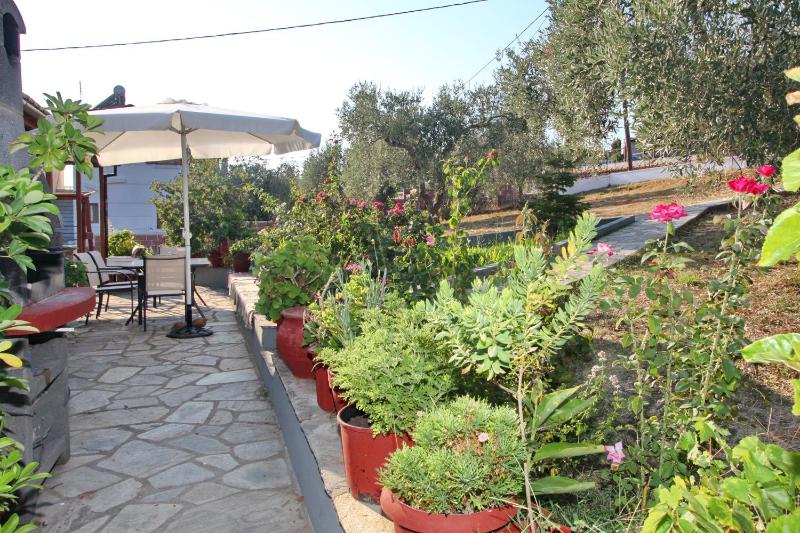 Armonia Guesthouse - image 3